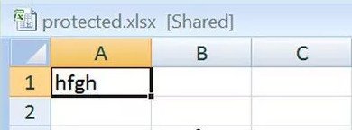 open xlsx file and load the sheet
