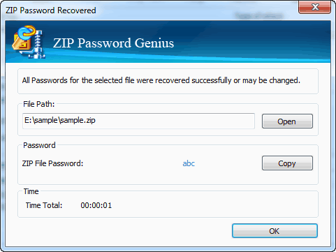 successfully unzip zip file password