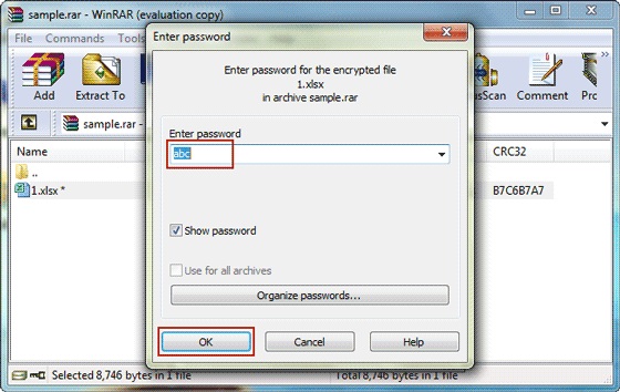 type the password for rar file