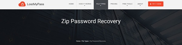 lostmypass zip password recovery online