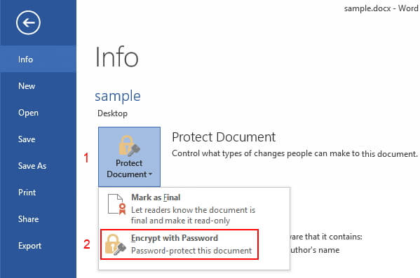 word document encrypt with password 2010/2013/2016